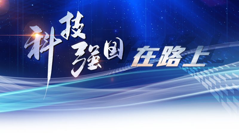 企业搜索数据库索引，价格几何？揭秘其成本构成与价值**